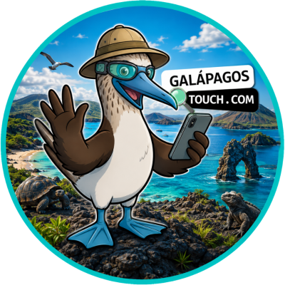 G-Touch